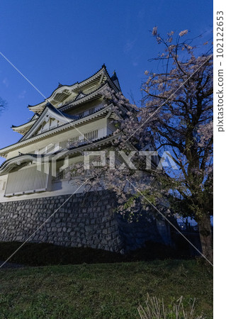Chiba Castle cherry blossom light up 102122653