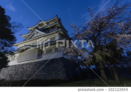 千葉城櫻花點燈 102122654