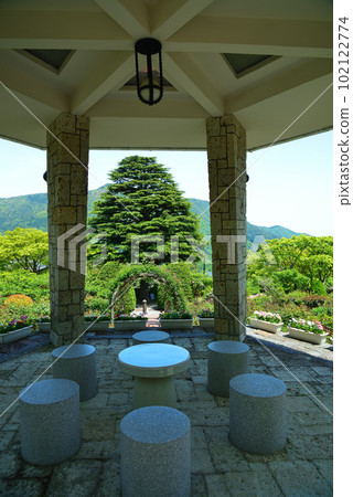 Fresh green Hakone Gora Park Fresh green Hakone Gora Park 102122774