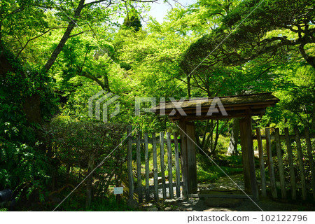 Fresh green Hakone Gora Park Fresh green Hakone Gora Park 102122796
