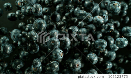 Falling blueberry, isolated on black background Falling blueberry, isolated on black background 102123773