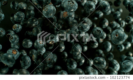 Falling blueberry, isolated on black background Falling blueberry, isolated on black background 102123774
