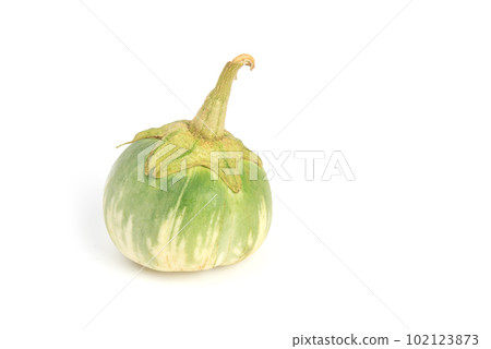 Thai eggplant isolated on white background 102123873