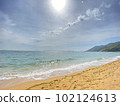 Spend a leisurely time on the pleasant beach in early summer 102124613