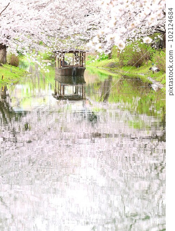 Fushimi Jukkokubune Okibune and cherry blossom raft Fushimi Jukkokubune Okibune and cherry blossom raft 102124684
