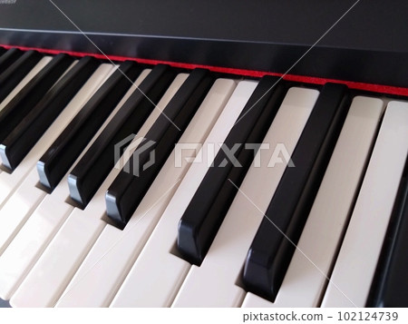 piano keyboard piano keyboard 102124739