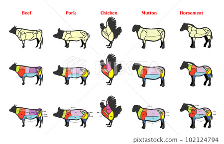 Illustration of cow pig chicken horse sheep parts 102124794
