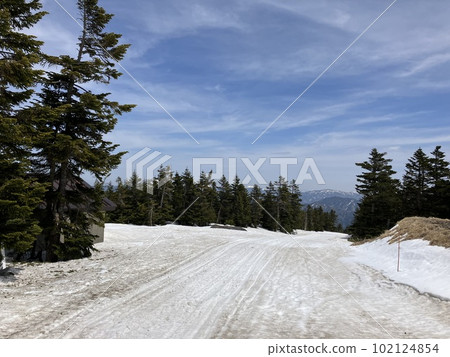 Spring skiing _ Mt. Yokote, Shiga Kogen _ Shibutoge ski resort _ Ski resort in early spring _ Remaining snow 102124854