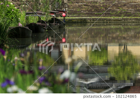 Omihachiman in early summer, yakatabune boats on the waterfront with blooming irises Omihachiman in early summer, yakatabune boats on the waterfront with blooming irises 102124865