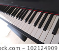 Piano keyboard in the room where the sun points 102124909