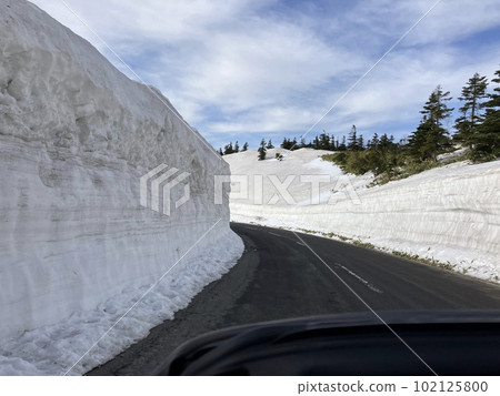 Mt. Yokote, Shiga Kogen _ Shibu Pass _ Early spring _ Remaining snow _ Snow wall _ Route 292 _ Golden Week 102125800