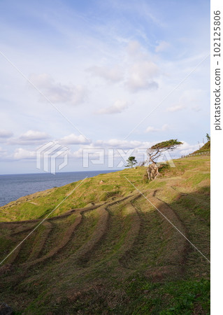 白米千枚田, 石川縣, 輪島市, 白米町, 梯田, 千枚田, 信息板, 狹窄的稻田, 白米, 千枚田, 指定名稱, 風景名勝, 能登 102125806