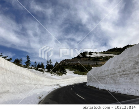 Mt. Yokote, Shiga Kogen _ Shibu Pass _ Early spring _ Remaining snow _ Snow wall _ Route 292 _ Golden Week Mt. Yokote, Shiga Kogen _ Shibu Pass _ Early spring _ Remaining snow _ Snow wall _ Route 292 _ Golden Week 102125814