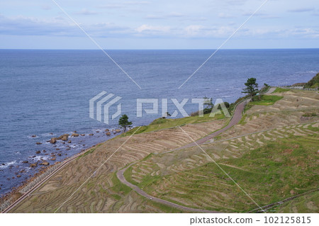 白米千枚田, 石川縣, 輪島市, 白米町, 梯田, 千枚田, 信息板, 狹窄的稻田, 白米, 千枚田, 指定名稱, 風景名勝, 能登 白米千枚田, 石川縣, 輪島市, 白米町, 梯田, 千枚田, 信息板, 狹窄的稻田, 白米, 千枚田, 指定名稱, 風景名勝, 能登 102125815