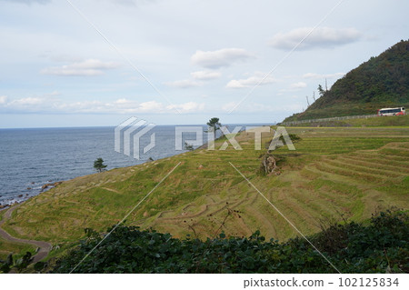白米千枚田, 石川縣, 輪島市, 白米町, 梯田, 千枚田, 信息板, 狹窄的稻田, 白米, 千枚田, 指定名稱, 風景名勝, 能登 白米千枚田, 石川縣, 輪島市, 白米町, 梯田, 千枚田, 信息板, 狹窄的稻田, 白米, 千枚田, 指定名稱, 風景名勝, 能登 102125834