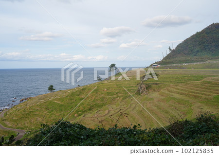 白米千枚田, 石川縣, 輪島市, 白米町, 梯田, 千枚田, 信息板, 狹窄的稻田, 白米, 千枚田, 指定名稱, 風景名勝, 能登 白米千枚田, 石川縣, 輪島市, 白米町, 梯田, 千枚田, 信息板, 狹窄的稻田, 白米, 千枚田, 指定名稱, 風景名勝, 能登 102125835