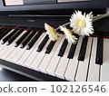 keyboard keys and flowers 102126546