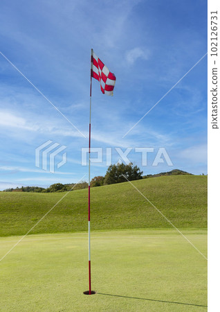 Golf course green and hole in good weather 102126731