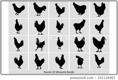 Vector illustration of a black cock silhouette,Rooster silhouette vector,poultry chickens roosters vector,rooster silhouettes Vector illustration of a black cock silhouette,Rooster silhouette vector,poultry chickens roosters vector,rooster silhouettes 102126965