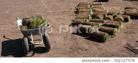 Banner Rolls of lawn grass on sunny day - country house and landscape design 102127576
