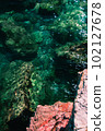 Green waves of sea with red rocks 102127678