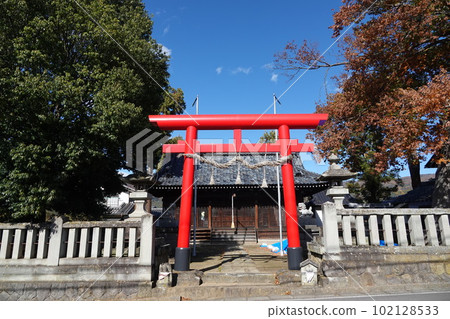 Scenery before the zelkova cutting work at Chujo Shrine in Nakanojo, Sakaki-cho, Hanishina-gun, Nagano Prefecture 102128533
