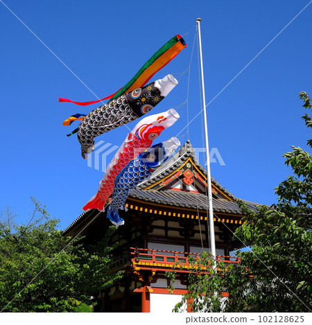 仁王門前的目黑不動尊鯉魚旗 102128625