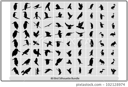 Flying birds silhouettes on white background. Vector illustration,Collection of different birds silhouettes position.Vector Collection of Bird Silhouettes Flying birds silhouettes on white background. Vector illustration,Collection of different birds silhouettes position.Vector Collection of Bird Silhouettes 102128974