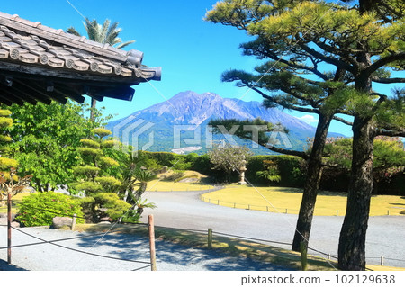 [鹿兒島縣]晴天從名勝仙岩園看到的櫻島 102129638