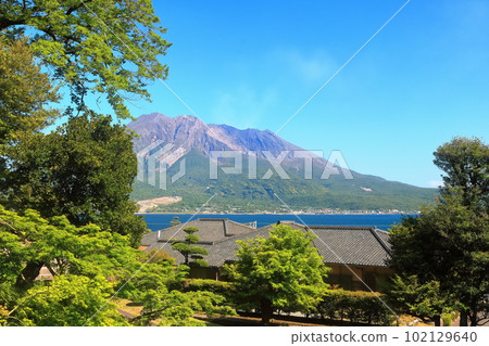 [鹿兒島縣]晴天從名勝仙岩園看到的櫻島 102129640