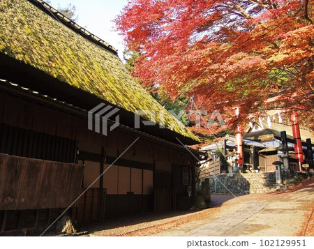 佐賀鳥居書的秋葉風景 102129951