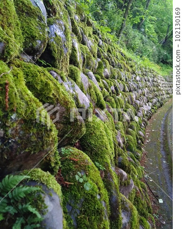 Stone walls of Ono Castle 102130169