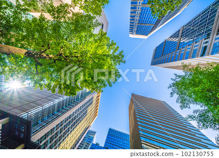 Tokyo cityscape in Japan View of Otemachi, Marunouchi buildings, fresh greenery, etc. On the left side of the screen is the direction of the intersection in front of Otemachi Station. 102130755