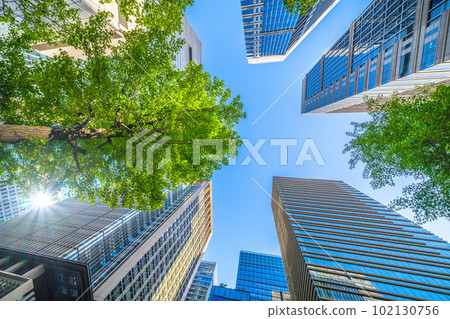 Tokyo cityscape in Japan View of Otemachi, Marunouchi buildings, fresh greenery, etc. On the left side of the screen is the direction of the intersection in front of Otemachi Station. Tokyo cityscape in Japan View of Otemachi, Marunouchi buildings, fresh greenery, etc. On the left side of the screen is the direction of the intersection in front of Otemachi Station. 102130756