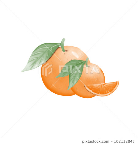 Orange with leaf Orange with leaf 102132845