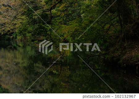 Deep green Lake Shinsei in the early morning of autumn Deep green Lake Shinsei in the early morning of autumn 102132967