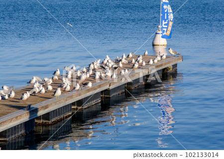 Uricamome Uricamome 102133014