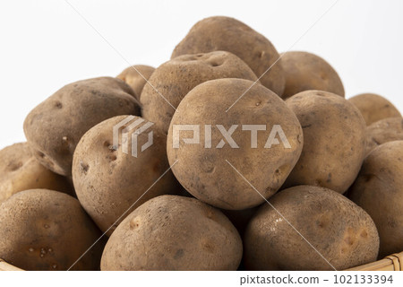 Delicious potatoes harvested in the field 102133394