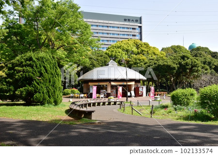 駒澤奧林匹克公園綠地、圓形花壇、商店和駒澤大學的清新綠色 駒澤奧林匹克公園綠地、圓形花壇、商店和駒澤大學的清新綠色 102133574