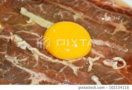 slice beef shank raw food topping egg arranging on plate isolated in white background slice beef shank raw food topping egg arranging on plate isolated in white background 102134118