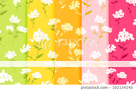 Wildflower bedstraw galium flower seamless pattern colored flat set. Juicy summer trend yellow green pink print herb floral branch fashion fabric textile natural wallpaper cover web wrap background Wildflower bedstraw galium flower seamless pattern colored flat set. Juicy summer trend yellow green pink print herb floral branch fashion fabric textile natural wallpaper cover web wrap background 102134248