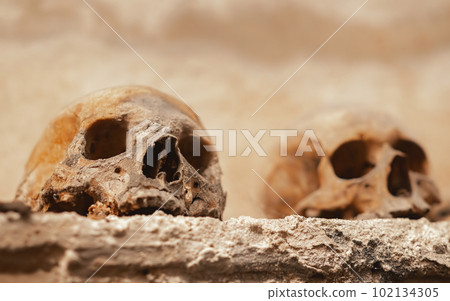 Old skulls in the catacombs closeup Old skulls in the catacombs closeup 102134305