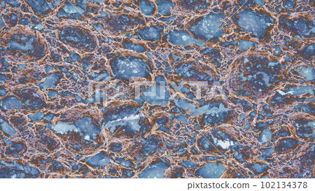 Pink sponge abstraction in magnification 102134378