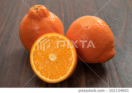 American citrus mineola 102134601