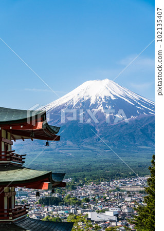 [山梨縣]春天新綠的新倉山淺間公園 102135407