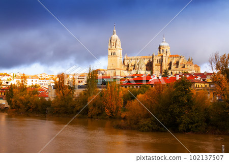 Salamanca Cathedral in autumn. Spain Salamanca Cathedral in autumn. Spain 102137507