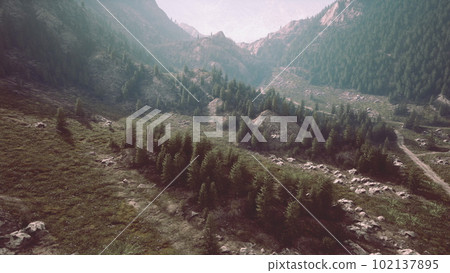 winding mountain road over alpine meadows at the edge of the forest winding mountain road over alpine meadows at the edge of the forest 102137895