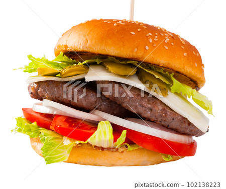 Double hamburger 102138223