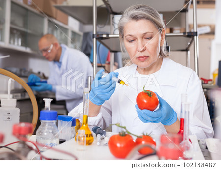 Female scientist injecting reagent into tomatoes 102138487