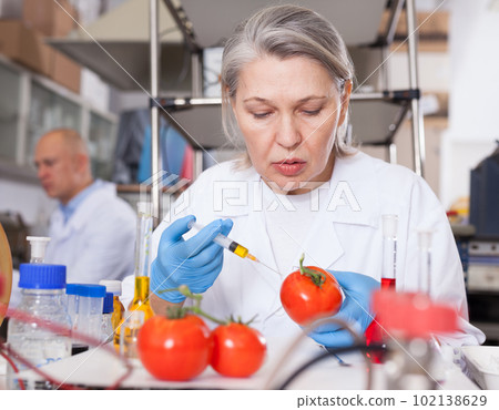 Female geneticist injecting additives into tomatoes Female geneticist injecting additives into tomatoes 102138629